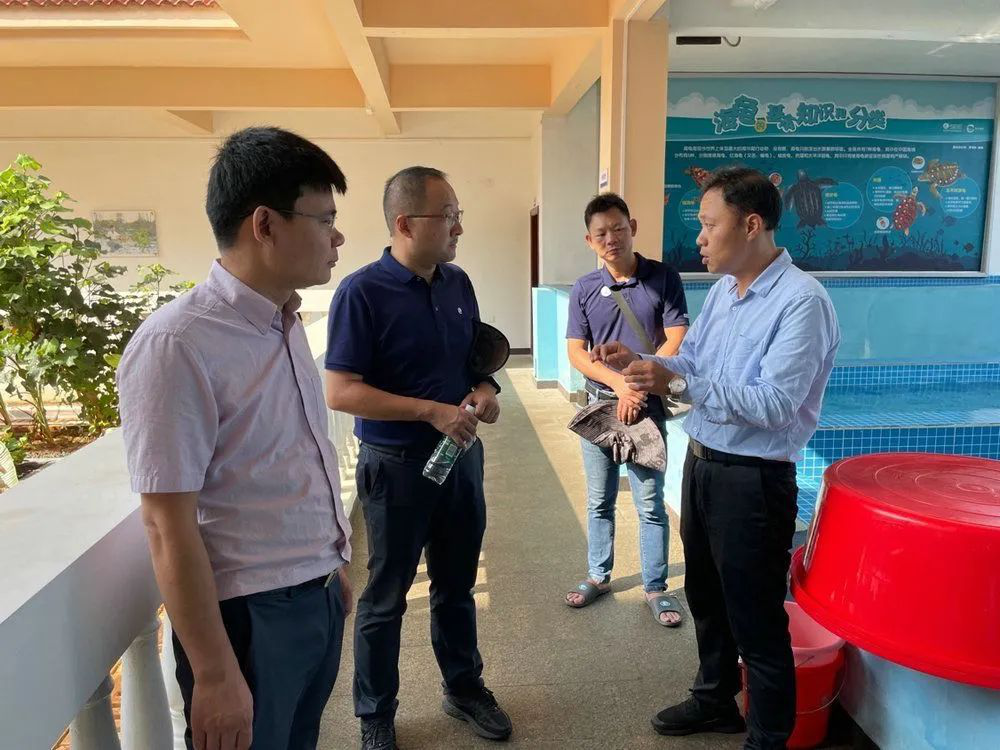 image-20230522184800-6