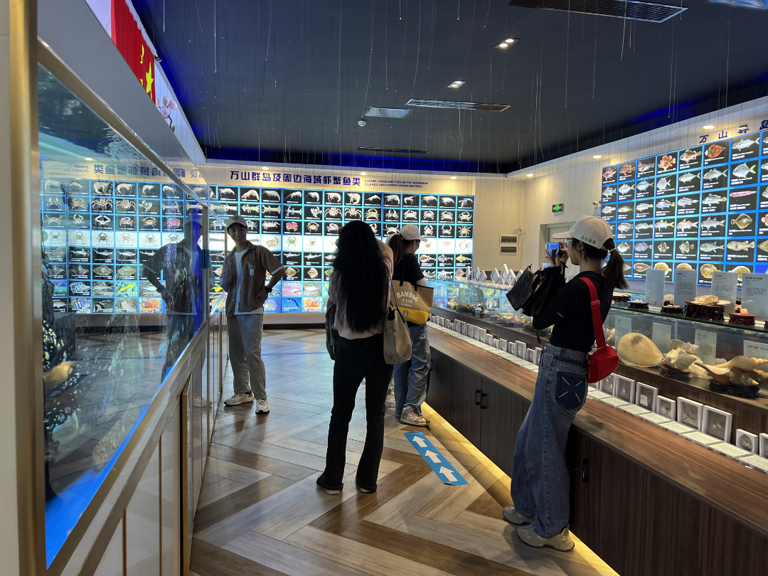 image-20230613132353-2