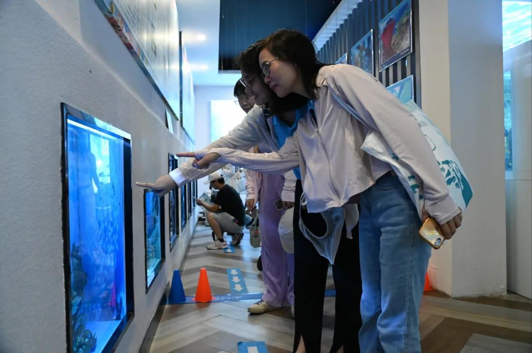 image-20230613132418-5