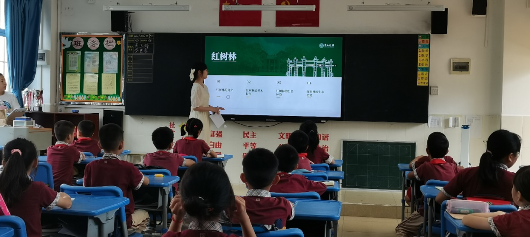 image-20230613135115-3