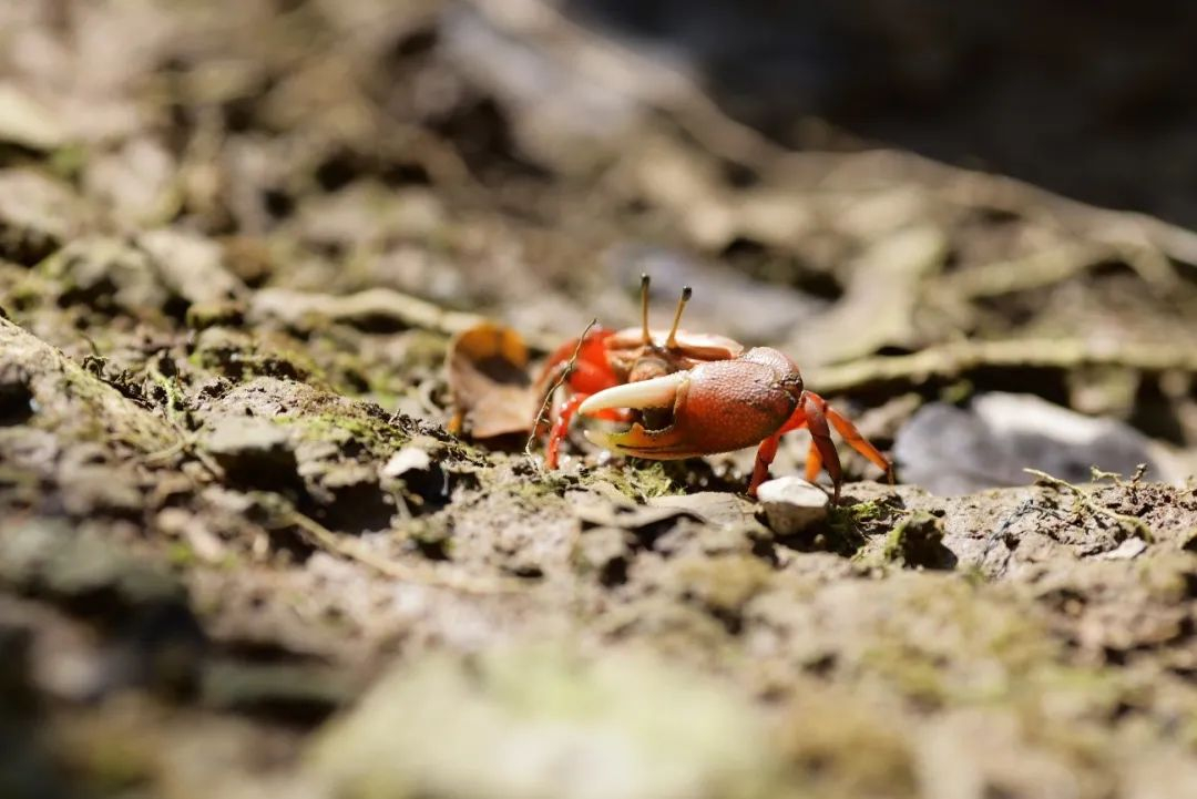 image-20230620233414-3