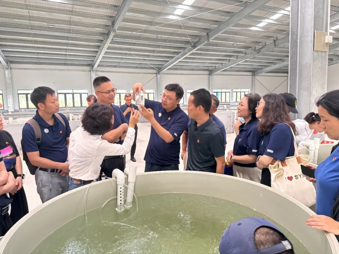 image-20240606231746-5