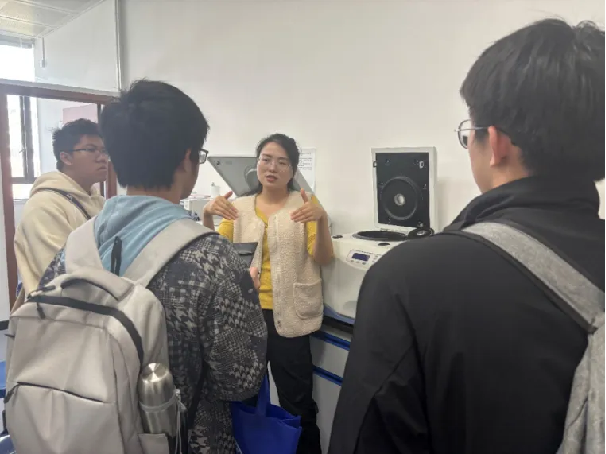 image-20250220114810-10