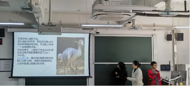 image-20250220114810-4