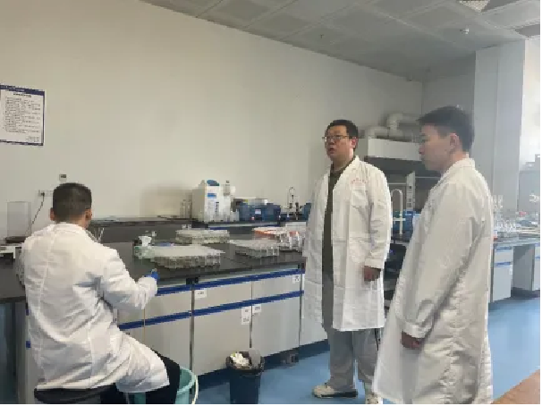 image-20250221115333-3