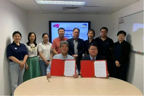 image-20250221121351-8